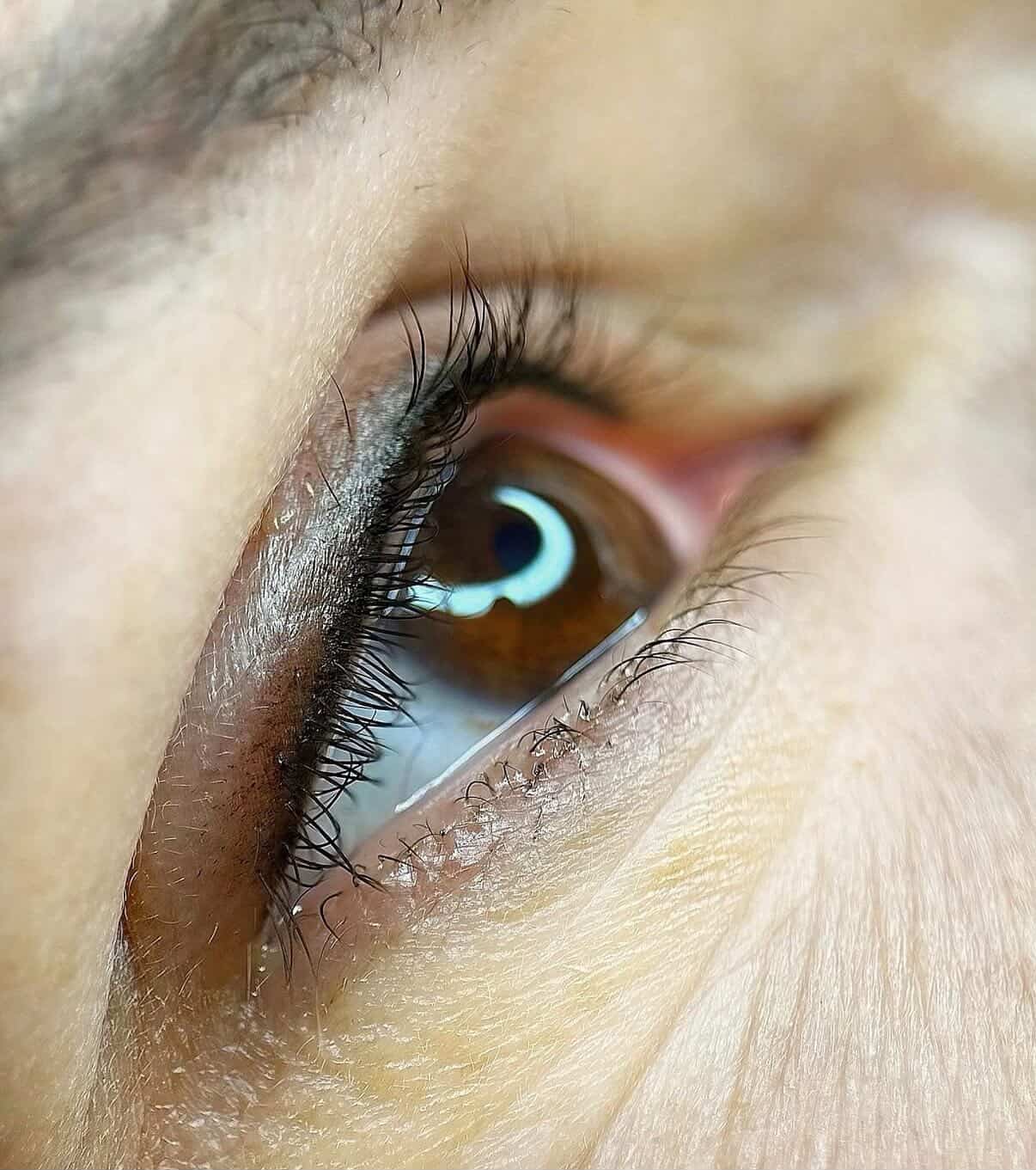 Permanentní make-up obočí